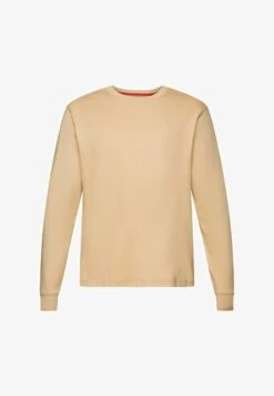 ESPRIT LONGSLEEVE MIT DELFINPRINT - Langarmshirt - Sand 13 ESPRIT LONGSLEEVE MIT DELFINPRINT - Langarmshirt - Sand -Esprit 035136b6483245e6a59839f23af41fd0
