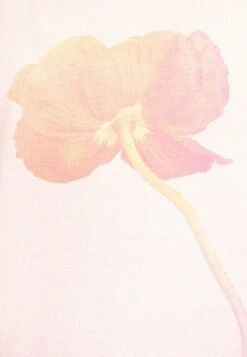 ESPRIT T-Shirt Print - Orange Red 12 ESPRIT T-Shirt Print - Orange Red -Esprit b6e1bc8dfce84398acd5a984706a682a