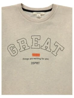 ESPRIT Sweatkleid In Grau 7 ESPRIT Sweatkleid In Grau -Esprit esprit sweatkleid in grau 2